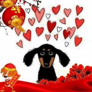 Meet your Posher, Darla